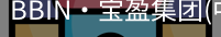 BIN宝盈集团